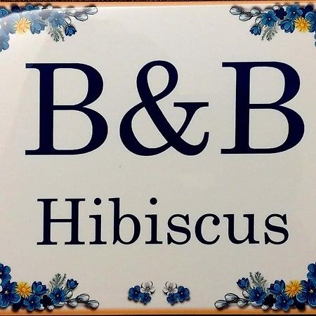 B&B Hibiscus Porto SantʼElpidio Buitenkant foto