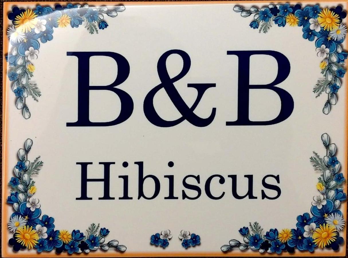 B&B Hibiscus Porto SantʼElpidio Buitenkant foto
